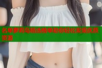 名单萝莉岛精选榜单助你轻松发现优质资源
