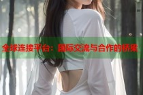 全球连接平台：国际交流与合作的桥梁