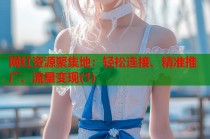 网红资源聚集地：轻松连接、精准推广、流量变现(1)
