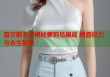 查尔斯王子揭秘萝莉岛黑幕 揭露权力与永生秘密