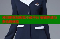 冲田萝莉岛视觉小说平台 极致养成与多结局体验