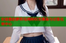 安德鲁的萝莉岛揭秘权贵黑幕与访客名单中心