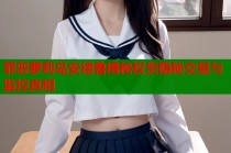 罪恶萝莉岛安德鲁揭秘权贵隐秘交易与监控真相