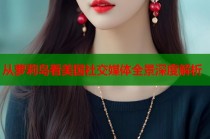 从萝莉岛看美国社交媒体全景深度解析