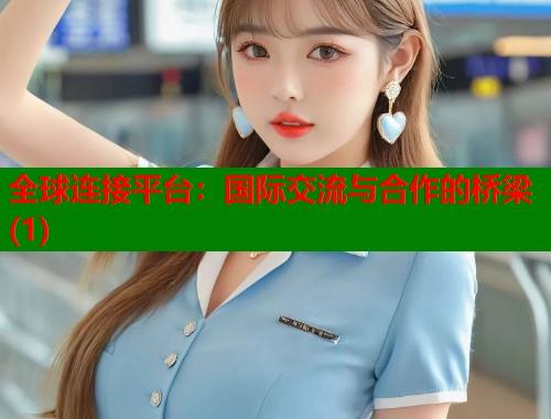 全球连接平台：国际交流与合作的桥梁(1)  第1张