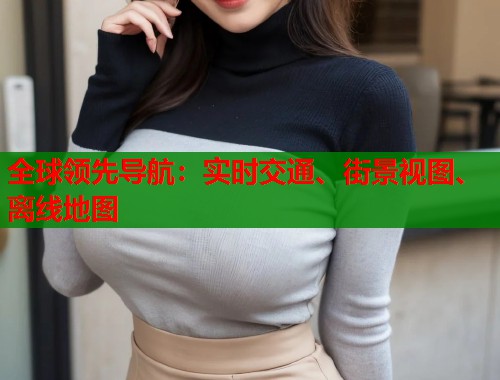 全球领先导航：实时交通、街景视图、离线地图  第1张