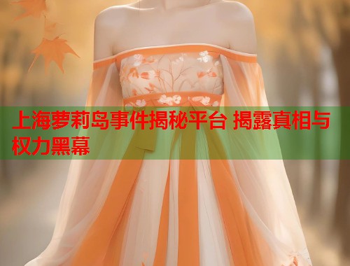 上海萝莉岛事件揭秘平台 揭露真相与权力黑幕  第1张