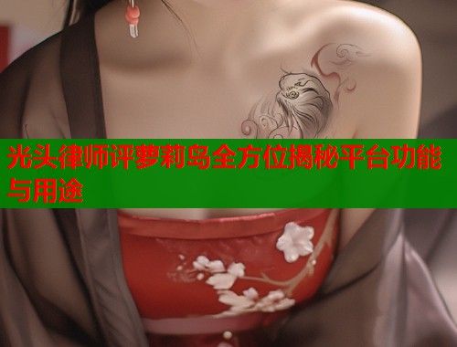 光头律师评萝莉岛全方位揭秘平台功能与用途  第1张