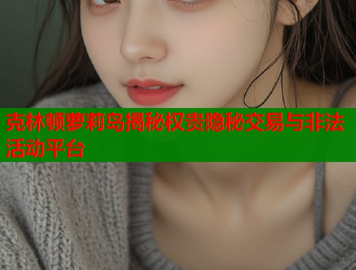 克林顿萝莉岛揭秘权贵隐秘交易与非法活动平台  第2张