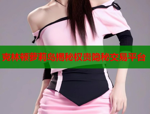 克林顿萝莉岛揭秘权贵隐秘交易平台  第1张