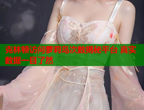 克林顿访问萝莉岛次数揭秘平台 真实数据一目了然  第1张
