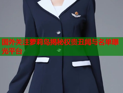 国外关注萝莉岛揭秘权贵丑闻与名单曝光平台  第1张