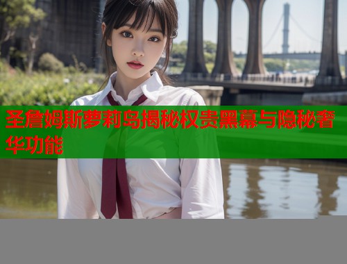 圣詹姆斯萝莉岛揭秘权贵黑幕与隐秘奢华功能  第1张