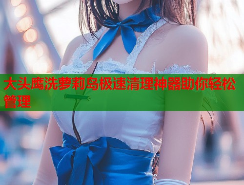 大头鹰洗萝莉岛极速清理神器助你轻松管理  第1张