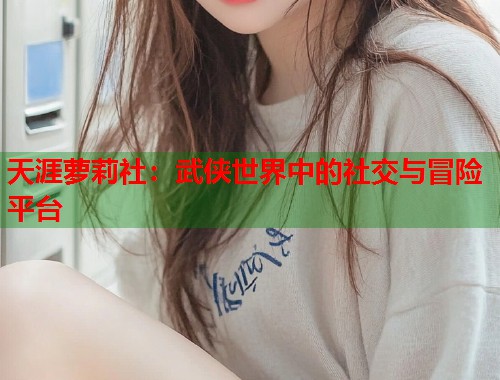 天涯萝莉社：武侠世界中的社交与冒险平台  第1张