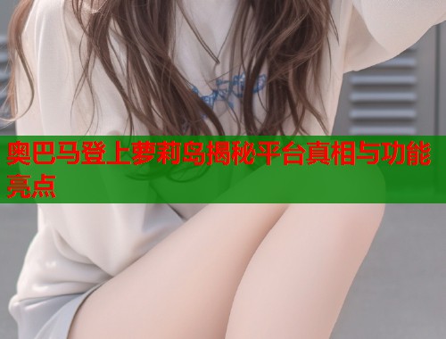 奥巴马登上萝莉岛揭秘平台真相与功能亮点  第1张
