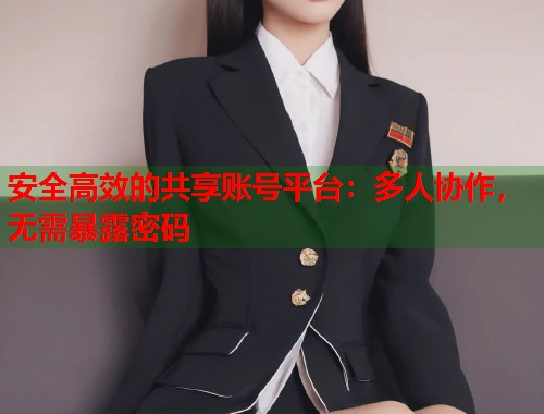 安全高效的共享账号平台：多人协作，无需暴露密码  第1张