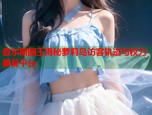查尔斯国王揭秘萝莉岛访客轨迹与权力黑幕平台  第1张