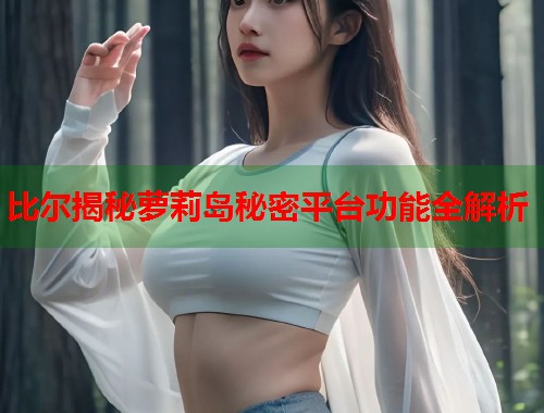 比尔揭秘萝莉岛秘密平台功能全解析  第1张
