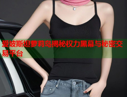爱坡斯坦萝莉岛揭秘权力黑幕与秘密交易平台  第1张