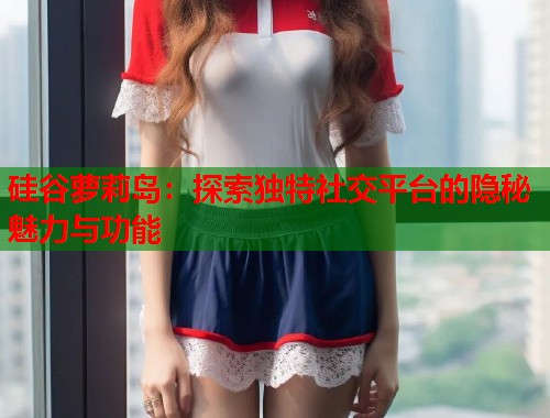 硅谷萝莉岛：探索独特社交平台的隐秘魅力与功能  第1张