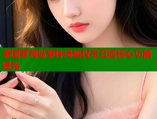 美国萝莉岛事件揭秘权贵丑闻核心功能曝光  第1张