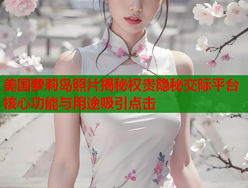 美国萝莉岛照片揭秘权贵隐秘交际平台核心功能与用途吸引点击  第1张