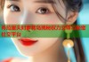 希拉里夫妇萝莉岛揭秘权力交锋与秘密社交平台